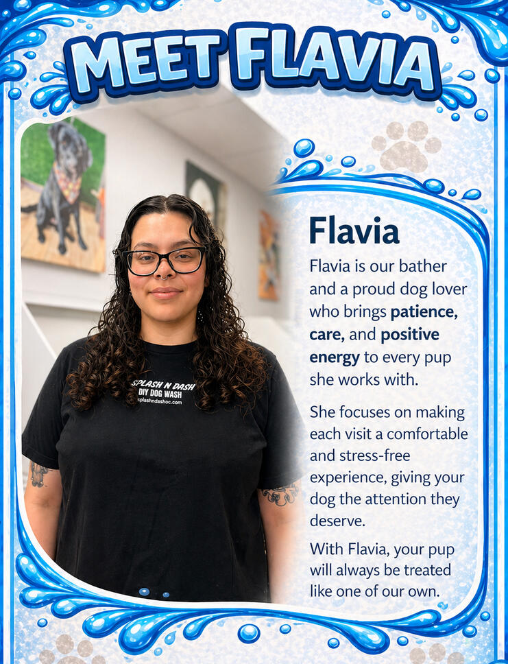 Flavia Flavia