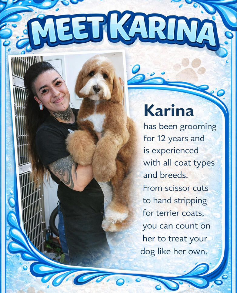 Karina Karina